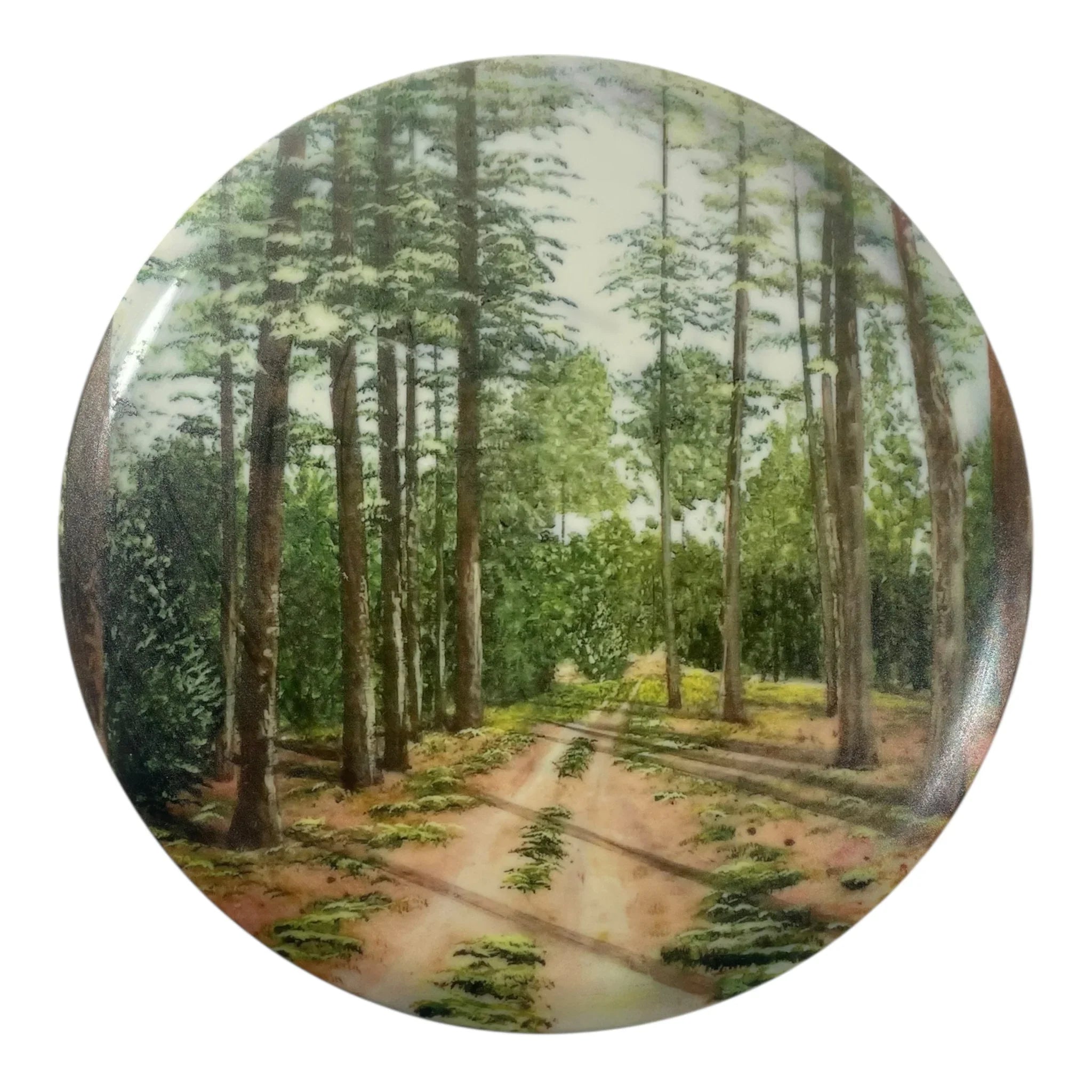 Innova Champion Discs Roc | Star | Pim Farms 180g (Cam Todd) Disc Golf