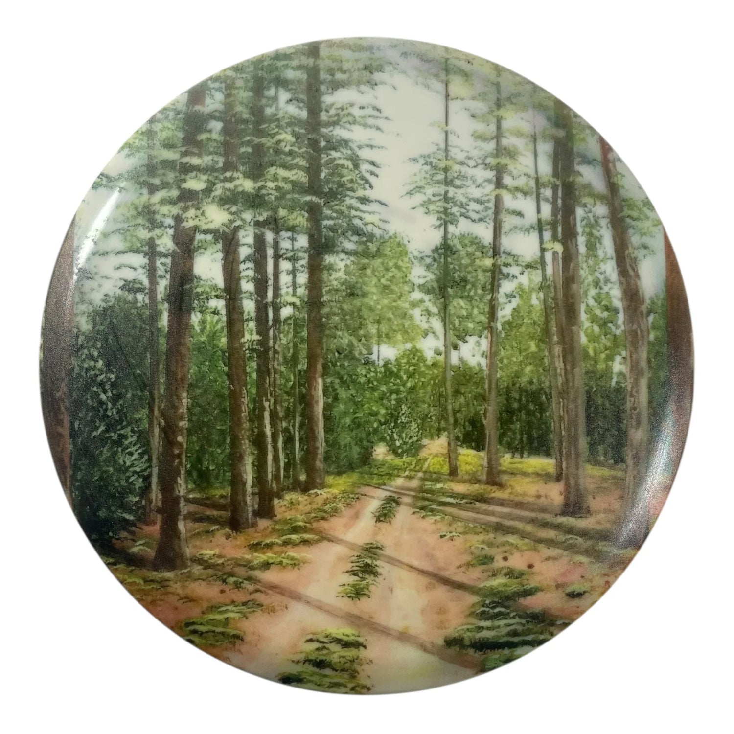 Innova Champion Discs Roc | Star | Pim Farms 180g (Cam Todd) Disc Golf