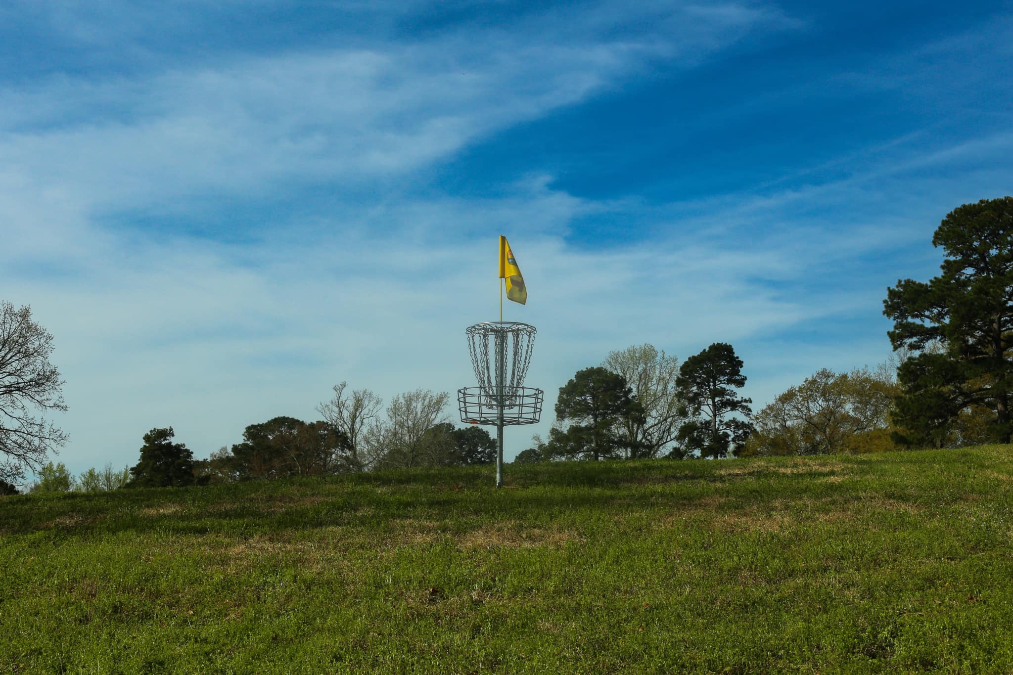 <p><strong>Tees in the Trees</strong></p><h4>After a tornado destroyed multiple courses in the area on 3/31/23, Perks made this announcement: "In light of the loss the disc golf community experienced on Friday, we will be leaving our Little Rock Games pop-up course at Hindman Park as a relief course for the community and for events needing to be relocated from the courses in disaster areas. The layout can be found on UDisc under Tees in the Trees. We love you Little Rock! ❤️"</h4>