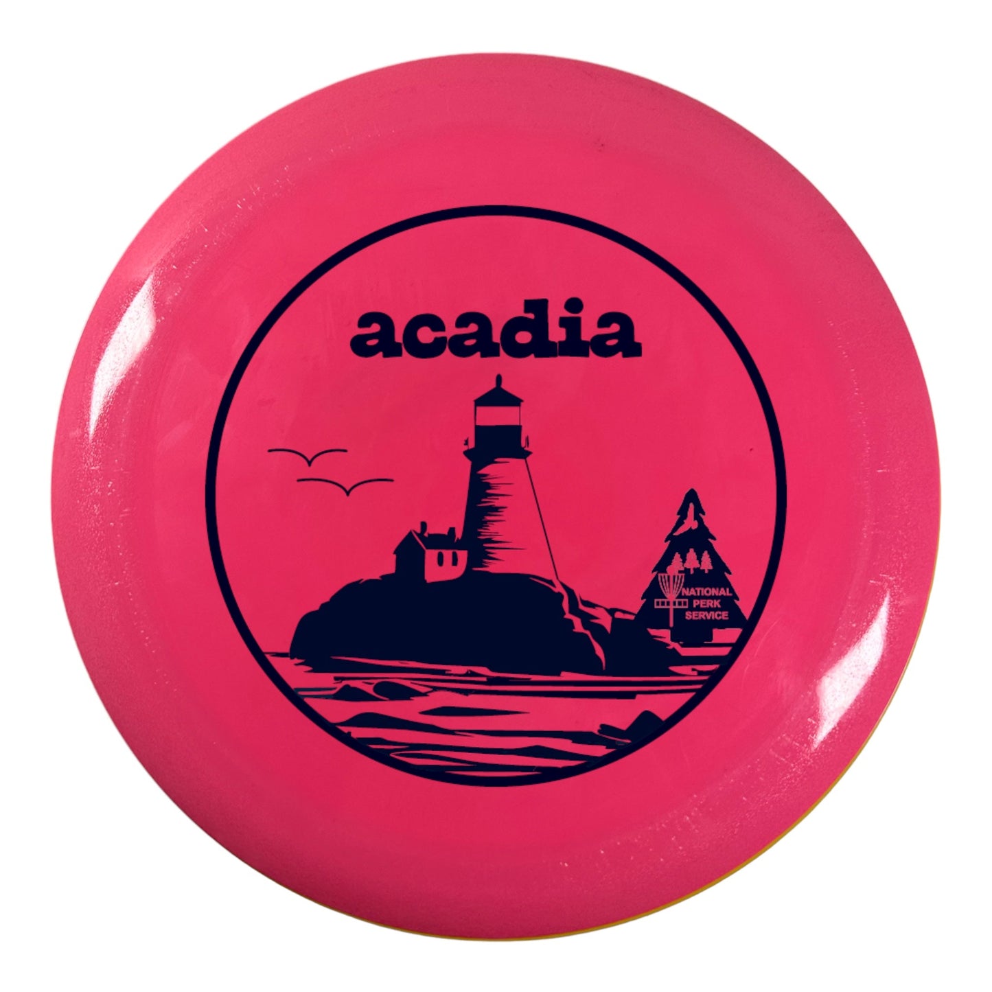Innova Champion Discs Acadia - Mamba | Star | Pink/Black 172g (First Run) 23/50 Disc Golf