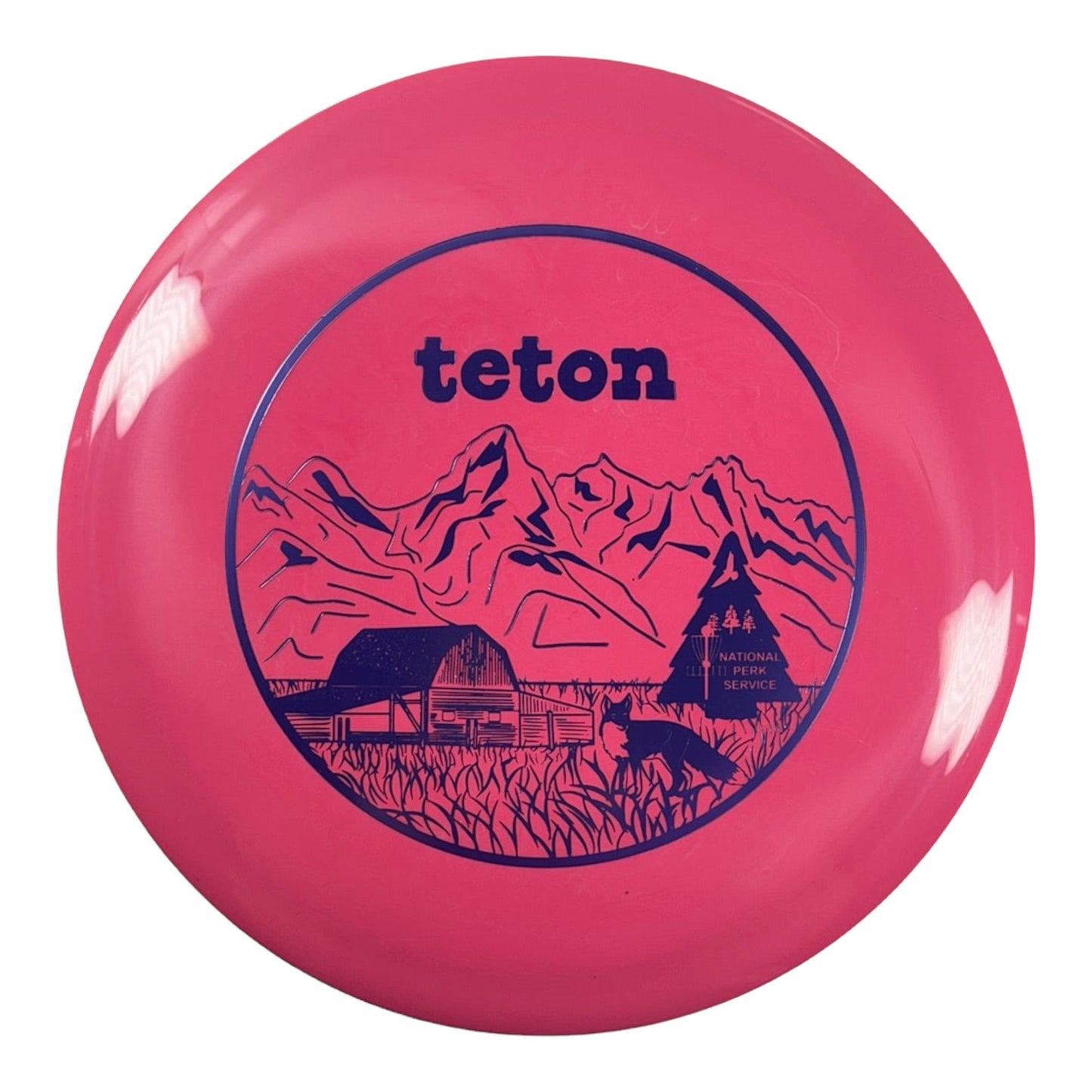 Innova Champion Discs Teton - TL | Star | Pink/Purple 175g 16/50 Disc Golf